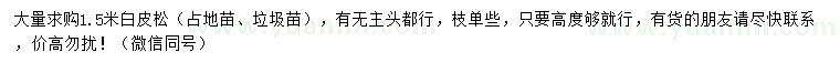 求購1.5米白皮松