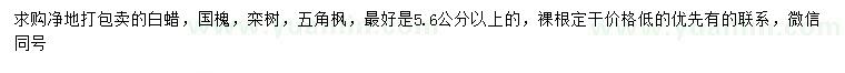 求購白蠟、國槐、欒樹等