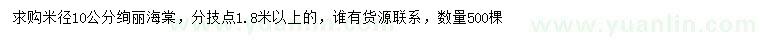 求購(gòu)米徑10公分絢麗海棠
