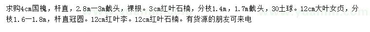 求購國槐、紅葉石楠、大葉女貞等