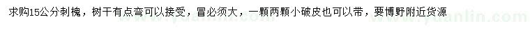 求購15公分刺槐
