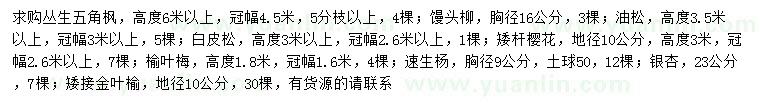 求購(gòu)叢生五角楓、饅頭柳、油松等