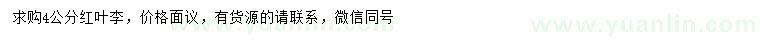 求購4公分紅葉李