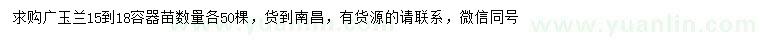 求購(gòu)15-18公分廣玉蘭