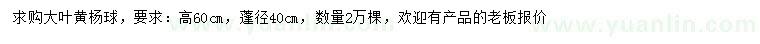 求購冠幅40公分大葉黃楊球
