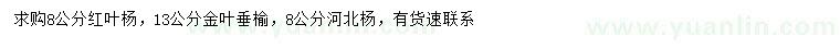 求購紅葉楊、金葉垂榆、河北楊