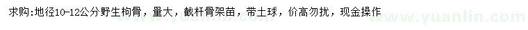 求購地徑10-12公分野生枸骨