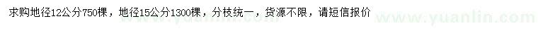 求購12、15公分早櫻
