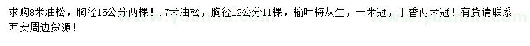 求購油松、榆葉梅、丁香