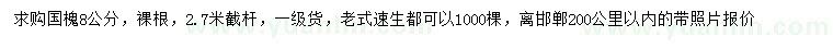 求購8公分國槐