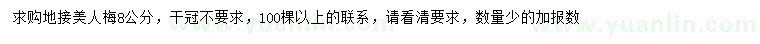求購8公分美人梅