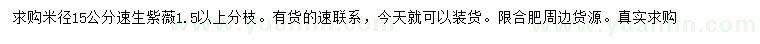 求購米徑15公分速生紫薇