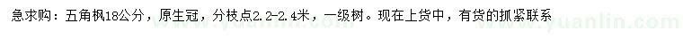 求購18公分五角楓