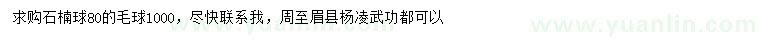 求購80公分石楠球