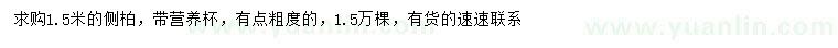 求購1.5米側(cè)柏