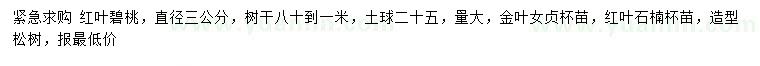 求購紅葉碧桃、金葉女貞、紅葉石楠