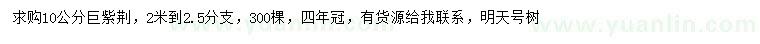 求購10公分巨紫荊