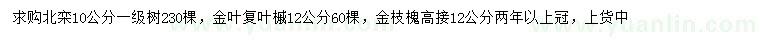 求購北欒、金葉復葉槭、金枝槐