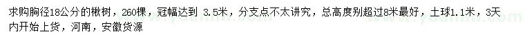 求購18公分楸樹