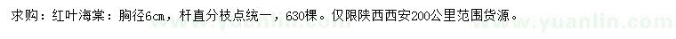 求購6公分紅葉海棠