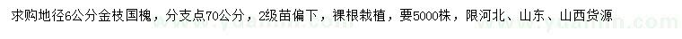 求購地徑6公分金枝國槐