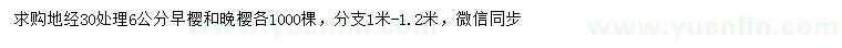 求購30量6公分早櫻、晚櫻