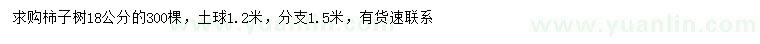 求購18公分柿子樹