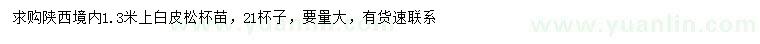 求購1.3米以上白皮松