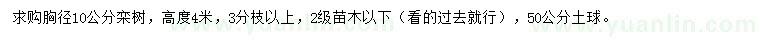 求購(gòu)胸徑10公分欒樹(shù)