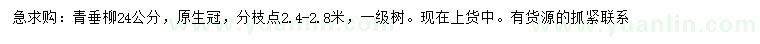 求購24公分青垂柳