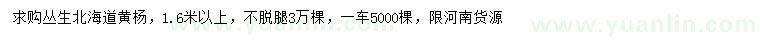 求購1.6米以上叢生北海道黃楊