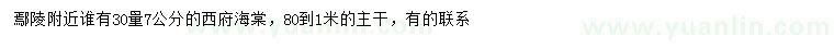 求購(gòu)30量7公分西府海棠