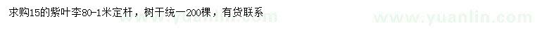求購15公分紫葉李