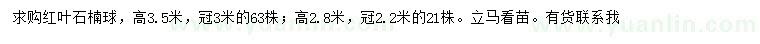 求購冠幅2.2、3米紅葉石楠球