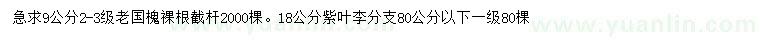 求購9公分國槐、18公分紫葉李