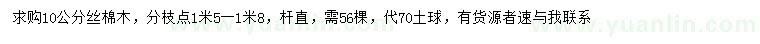 求購10公分絲棉木