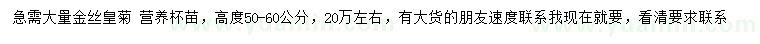 求購高50-60公分金絲皇菊