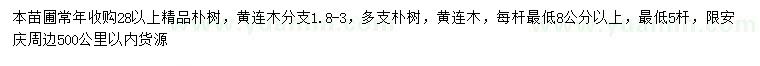 求購28公分以上樸樹、黃連木