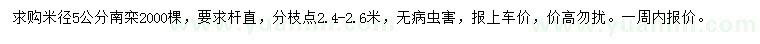 求購(gòu)米徑5公分欒樹(shù)