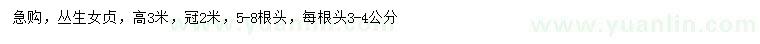求購高3米叢生女貞