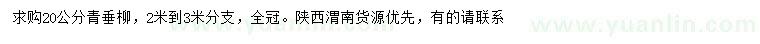 求購20公分青垂柳