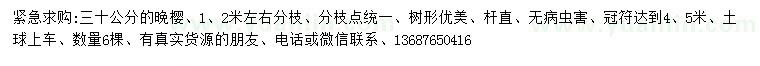 求購30公分晚櫻