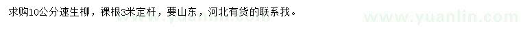 求購10公分速生柳