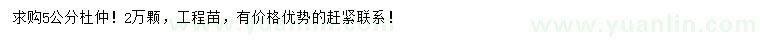 求購(gòu)5公分杜仲