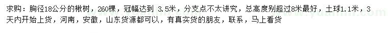 求購胸徑18公分楸樹