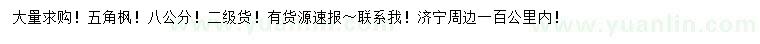 求購8公分五角楓