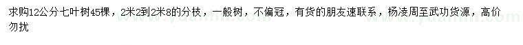 求購12公分七葉樹