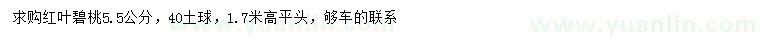 求購5.5公分紅葉碧桃