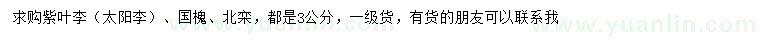 求購(gòu)紫葉李、國(guó)槐、北欒
