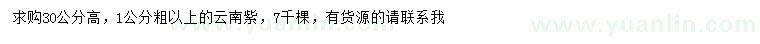 求購1公分以上云南紫